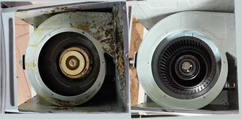 ��ˮ/����һ�w��ϴ�C(j��)Ч��